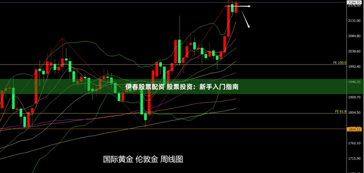 伊春股票配资 股票投资：新手入门指南