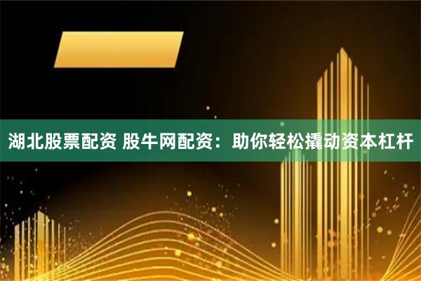 湖北股票配资 股牛网配资：助你轻松撬动资本杠杆