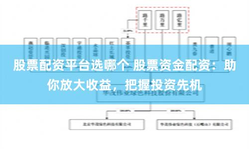 股票配资平台选哪个 股票资金配资：助你放大收益，把握投资先机