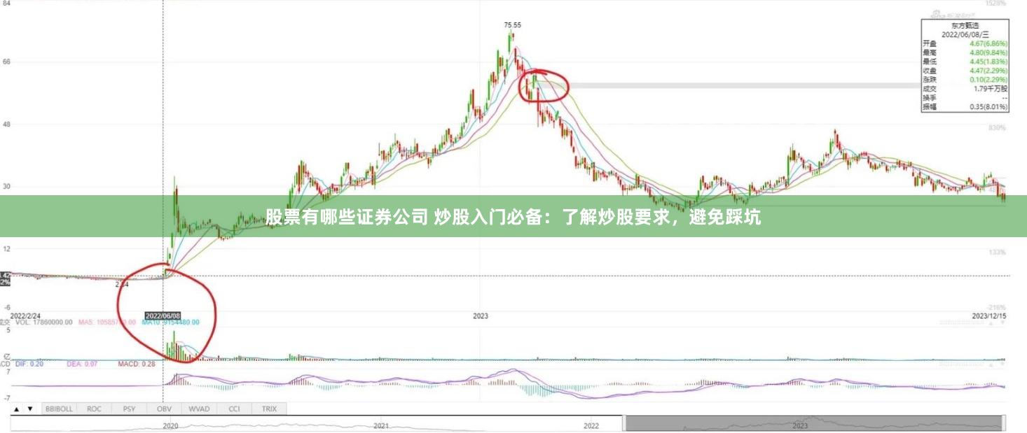 股票有哪些证券公司 炒股入门必备：了解炒股要求，避免踩坑