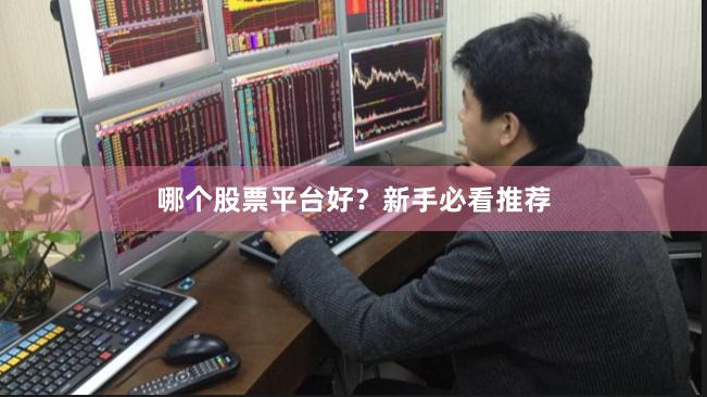 哪个股票平台好？新手必看推荐